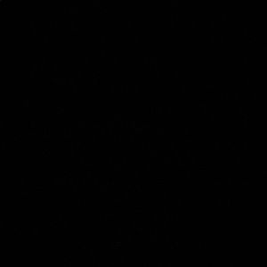 Meet your Posher, Alize